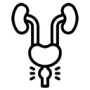 urologista
